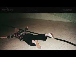 'flowers for vases/descansos' rakes back the debris and leaves hayley williams exposed. Musikblog Hayley Williams Colour Me In Neuer Coversong