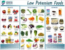 Pins Daddy Low Potassium Fruits Lists Pictures To Pin On