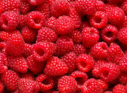 images?q=tbn:ANd9GcRVFVvofifHCfEGYRagi4Z