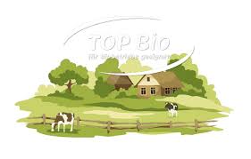 Depune niște hârtii, lucrează cu ce firme vrem noi și îți dăm banii după, dacă vrem și avem. Casa Verde Homepage