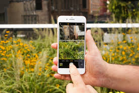 There S An Easy Way To Make Your Iphone Photos Look So Much Better Bgr