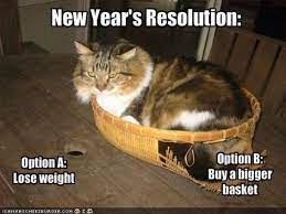 There Are 13 Different Things On The Resolution S List Of These Cats For 2019 Memes Happy New Year Funny Cat Jokes New Years Resolution Funny