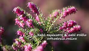 Θέλετε να ξέρετε πρώτος ποιος γιορτάζει σήμερα; Eortologio Ti Giorth Einai Shmera 24 Martioy Orthodoxia Online