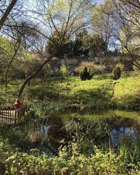 Jardin Naturel 120 Rue De La Reunion 20e Paris Visite Jardin Naturel Paris