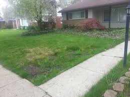For a lawn where only the top layer of soil has gotten compacted, the simplest option may be to aerate your lawn. How Do I Fix The Worst Lawn On The Street Gardening Landscaping Stack Exchange