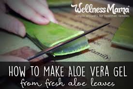 How To Make Aloe Vera Gel From Fresh Aloe Apartment Aloe Vera Gel Aloe Vera Aloe Vera Uses