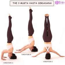 We did not find results for: Ashtanga Yoga 7 Headstands Elena Miss Yoga