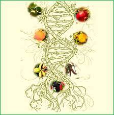 A fruit tree is a tree bearing fruit — the structures formed by the ripened ovary of a flower containing one or more seeds. Breeding Innovations In Underutilized Temperate Fruit Trees Frontiers Research Topic