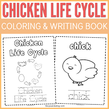 One thing i like to teach in the spring is life cycles. Chicken Life Cycle Coloring And Writing Pages For Home Learning And Fun 3 Boys And A Dog