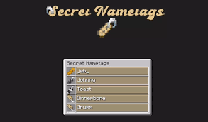 This is distinct from entity type tags, which are applied to entity types and can't be changed by commands. Pablo S Secret Nametags Minecraft Texture Pack