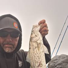 California Surf Fishing (CSF)