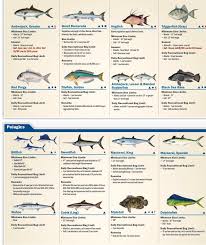 2019 Destin Florida Fishing Regulations Destin Inshore Guides