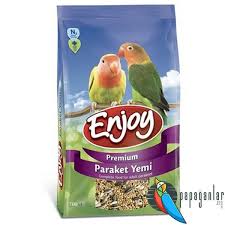 enjoy paraket yemi 2021 kus yemi kus papaganlar