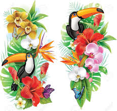 Fleurs Tropicales Toucan Et Un Papillons Fleurs Tropicales Comment Peindre Des Fleurs Flamant Rose Dessin
