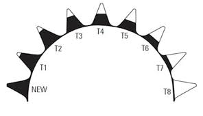 Iadc Dull Grading Chart Kc Bit