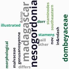 Image result for Nesogordonia