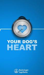 Because people realize that to save the planet, the world needs fewer, much fewer eaters and consumers? Your Dogs Heart Resting Respiratory Rate Your Dog Dogs Heart App
