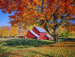 Image result for Massachusetts fall scenery