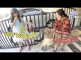 And other related information are statistics at videoranked.com Download 2 Tam Story 3gp Mp4 Codedwap