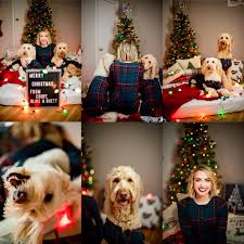 Family Christmas Pictures At Home Christmas Pajama Photo Session With Dogs Photos Co Christmas Photoshoot Kids Family Christmas Pictures Christmas Pet Photos