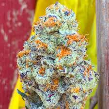 Maybe you would like to learn more about one of these? Buy Fire Og Online Buy Weed Online Europe Delivery Buy Weed Online Nb Buy Weed Online With Credit Card Uk Buy Weed Online With Echeck Buy Legal Weed Online With Debit