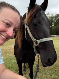 Looking for information