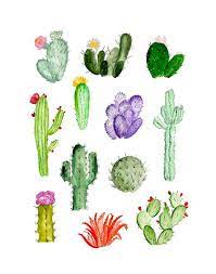 Si tienes un patio y te gustaría darle color, echa un vistazo a la selección de cactus con flores que hemos preparado para ti. Alquimia Deco Laminas Descargables Como Dibujar Cosas Acuarela Cactus Dibujo