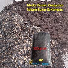 Begini cara untuk membuat tanaman agar cepat tumbuh besar dengan menggunakan bahan organik yang aman bagi tanaman. Jual Media Tanam Kompos Tanah Sekam Terbaru Lazada Co Id