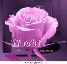 Https Encrypted Tbn0 Gstatic Com Images Q Tbn And9gcsj6ceit8pltzs04ohzehmrtt Iwyuks6snrq Usqp Cau