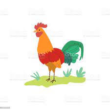 Ayam Kartun Berwarnawarni Berdiri Di Atas Rumput Hijau Ilustrasi Vektor Datar Ilustrasi Stok Unduh Gambar Sekarang Istock