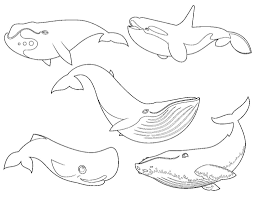 Kostenlose Ausmalbilder Unterwasserwelt Meerestiere Fur Kinder