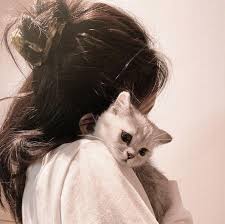 Yuk saatnya ketahui apa saja bedanya tabungan dan deposito biar bisa dapatkan untungnya. Jelaskan Perbedaan Antara Mengembun Dan Disposisi Brainly Co Id