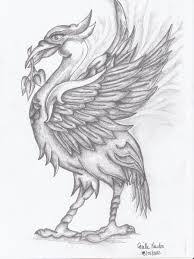 The liver bird /ˈlaɪvərbɜːrd/ is a mythical creature which is the symbol of the english city of liverpool. 12 Best Liverpool Bird Ideas Liverpool Bird Liverpool Liverpool Football