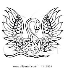 White Bird With Wings Spread Pin On Swan