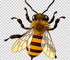 Fine art print of my fluffy bee creature drawing. Bumble Bee Drawing Easy