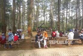Sambut Hari Anak Orchid Forest Cikole Gratiskan Tiket Anak Republika Online