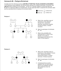 Showing top 8 worksheets in the category pedigree with answers. Solved Homework 6 Pedigree Worksheet Complete All Of T Chegg Com