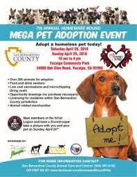 We've changed our adoption process! Pet Adoption Events Near Me This Weekend Pet S Gallery