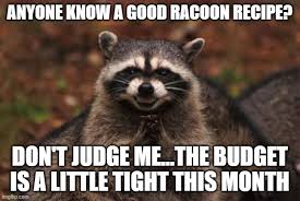 This is the first year out of the 8 years that myself and my wife have had a garden where we have had a rash of racoons. Racoon Recipes Imgflip