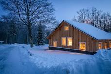 Winter Solstice Forest Bathing and Luminary Walk