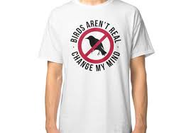 Birds Aren T Real Hoodie Funny Birds Aren T Real Libertarian Anarchist Government Spy Classic T Shirt Classic T Shirts Funny Birds T Shirt