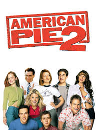 They don't really have a good place to party, so they decide to rent a summerhouse on the beach, and decide to cap off the end of summer with a huge bash. Prime Video American Pie 2