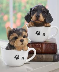 Teacup Pups Teacup Puppies Baby Animals Funny Pup