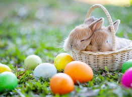 1,73m.*it was submitted by noel, 57 years old. Easter Bunny Origins And The History Of Easter Seeker
