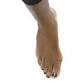 CCEP: Advanced Principles of Foot, Gait, and event image