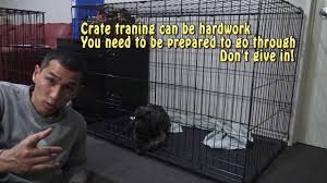 All puppies cry, and some puppies cry a lot. Help Puppy Stop Crying At Night In Crate Day 1 First Night Youtube