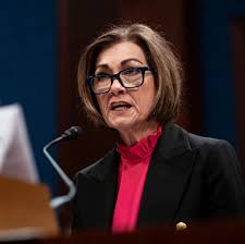 Gov. Kim Reynolds' Iowa DOGE Task Force meets. Here's who is