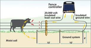 Electric fence chargers are like most electrical contrivance that are designed to stop animals or if it is a hot (electric) wire running along the top and/or bottom of a residential fence, or six strands of hot. Ground Rod Installation Grounding Electric Fence Zareba