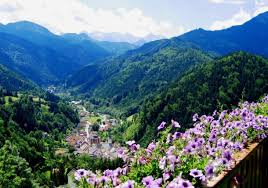 Österreich), officially the republic of austria (german: Latest Information On The Coronavirus Situation In Austria