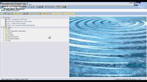 sap company company code chart of accounts account group gl live demo